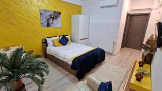 Golden Mood Apartment near Palace - Iaşi - 6