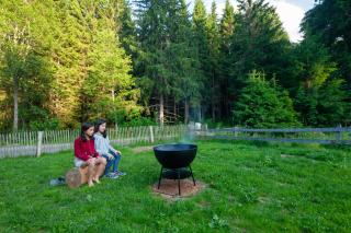 Landhaus Auerling am Wald - Ruhige Lage, Wander- und Skiparadies - Sankt Lambrecht - 8