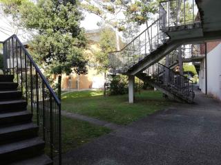 Apartments in Bibione 24555 - 2