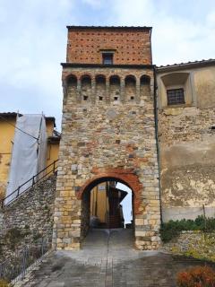 Torre di Caposelvi - Montevarchi - 8