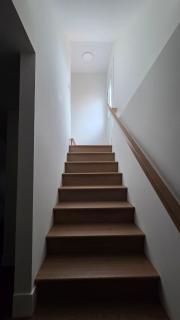 Cozy Modern Basement Suite in Riverview - Riverview - 5