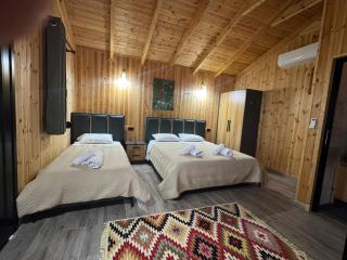 Guest House Dimal Berat - Pashalli - 9