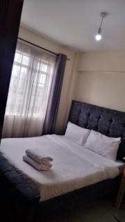 Ambers place midtown -f6 - Nairobi - 5