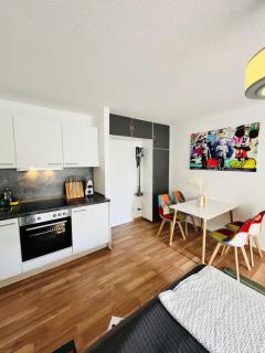 Loft mit Balkon Hauptbahnhof - Friburgo em Brisgóvia - 3