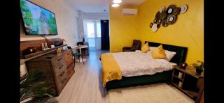 GoldenView Downtown Apartment near Palas Mall - Iaşi - 9