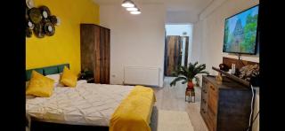 GoldenView Downtown Apartment near Palas Mall - Iaşi - 5