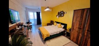 GoldenView Downtown Apartment near Palas Mall - Iaşi - 1