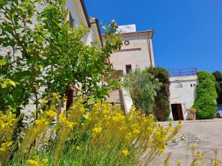Pier Delle Vigne B&B - Pineto - 9