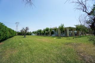 L'Ulivo e la Stella - Porto Cesareo - 5