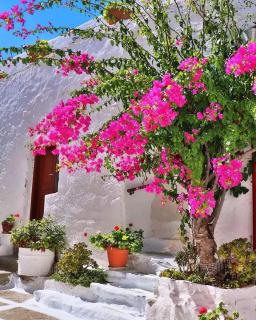 4 Seasons Suites Paradise Near Athens Airport - Markopoulo - 7