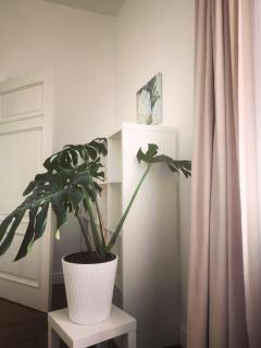 Flat in Central area - Riga - 3