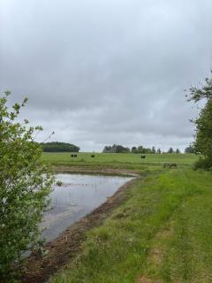 Tiny House Countryside - Hejnsvig - 9