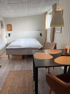 Tiny House Countryside - Hejnsvig - 7