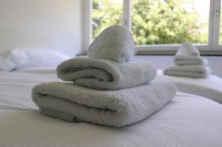 Leni's Holiday Apartment - Interlaken - 3