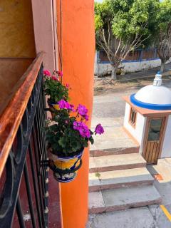Hotel Quinta Bella - 2