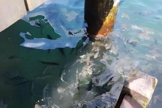 PORTO REAL RESORT - APARTAMENTO VISTA MAR EM CONDOMÍNIO COM PRAIA PRIVATIVA - 1