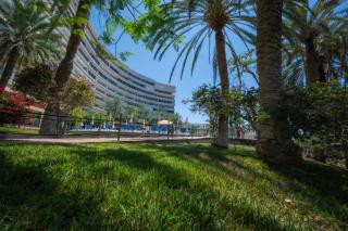 Seagulls melody C-208 - Adeje - 8