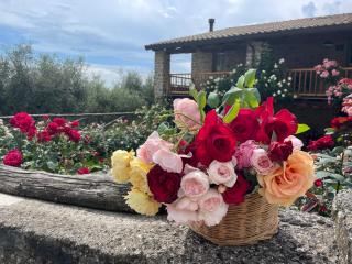 Tuscan Country House - Capanna dei muli - Regnano - 7