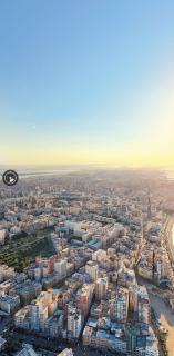 Alexandria - 6