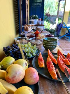 Quintal de casa - 1