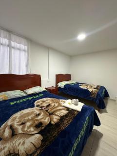 Hotel Buenos Aires - Pasto - 5