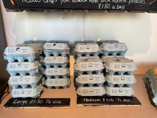 Norfolk broads Country Retreat - Lingwood - 6