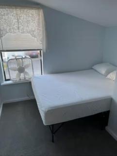 Beach House - Hampton - 4