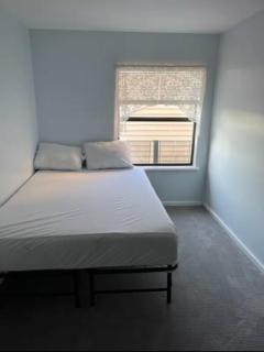 Beach House - Hampton - 1