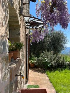 Tuscan Country House - Capanna dei muli - Regnano - 8