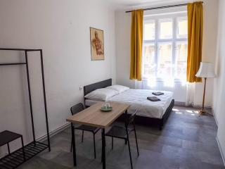 New spacious room C2 - Prague - 7