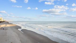 Sea Cloud - Across From Ocean - Pet Friendly - Myrtle Beach - 7