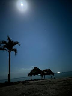 Oneira Seybaplaya apartments private and exclusive - Seybaplaya - 9