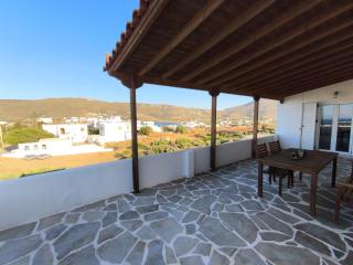 Modern big house in the port of Andros - Gavrio - 3