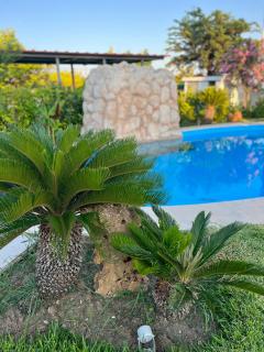 Palm Nest Villa with private pool in Chalkidiki - Vergia - 0