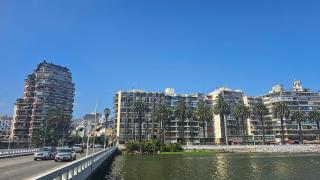Alquileres sol viña mejor ubicacion , terraza, estacionamiento privado - Viña del Mar - 5