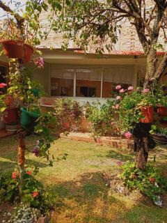 Grandma's house - Cuenca - 4
