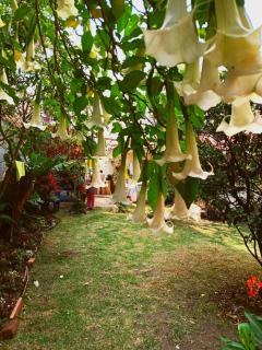 Grandma's house - Cuenca - 1