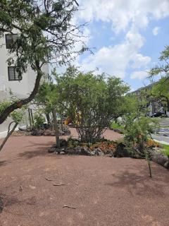 New Bamboo City Views - Cedro - 2