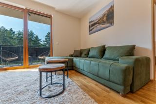 Vila Elsa 3 - Zlatibor - 7