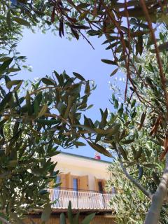 Apartments with parking spaces Losinj, Losinj - 24690 - 3