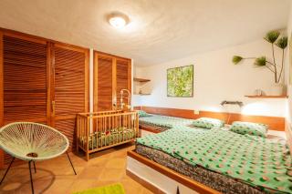 Casa Papaya 1, La Palma - Breña Alta - 6
