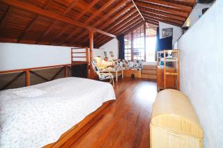Casa Papaya 1, La Palma - Breña Alta - 5