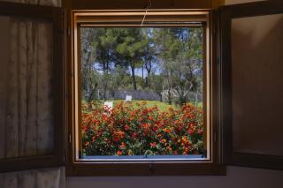 Agriturismo Scalelle - 1