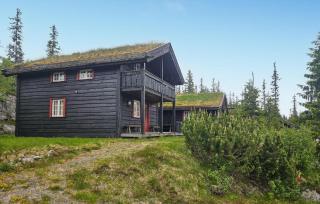 Amazing Home In Eggedal With Sauna - Eggedal - 0