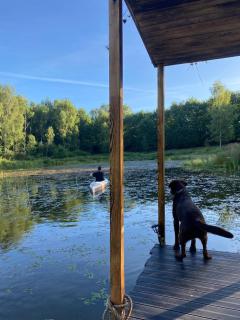heather hut, off-grid cottage on a pond+2 ha - Darżkowo - 2