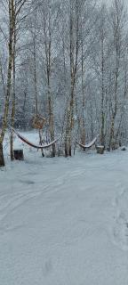 heather hut, off-grid cottage on a pond+2 ha - Darżkowo - 8