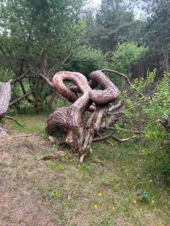 The Hideaway - Ainsdale - 8