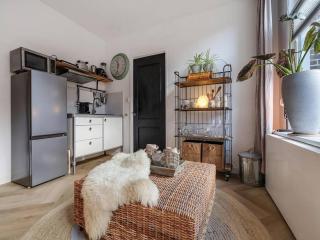Cozy apartment in the heart of Sneek - Sneek - 5