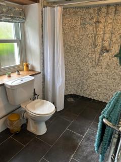 Penrallt-Fach Traditional Welsh cottage Pembrokeshire - Mynachlogddu - 5