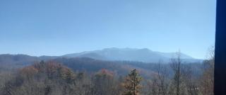 Great View Location Studio Log Cabin Hot Tub - 5
